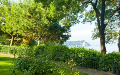 L’art de créer un jardin méditerranéen