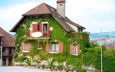 Assainissement : tout comprendre avant l’achat d’une maison